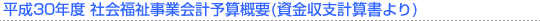 平成30年度 社会福祉事業会計概要(資金収支計算書より)