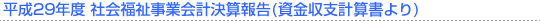 平成29年度 社会福祉事業会計決算報告